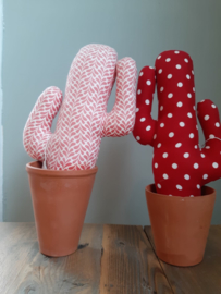 Cactussen