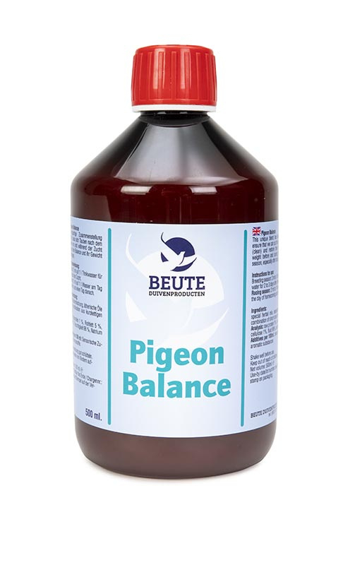 Pigeon Balance