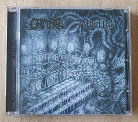 Mouflon / Grim Fate split 