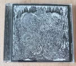 Perilaxe Occlussion / Fumes / Celestial Sanctuary / Thorn - Absolute Convergence 4 way split