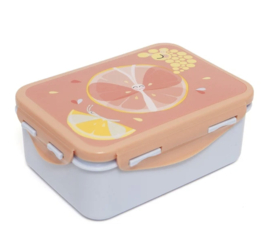 Lunchbox flies