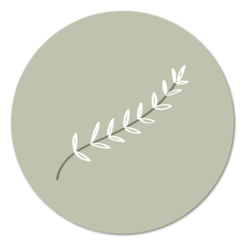 Muurcirkel – Plant olijfgroen – 20 cm
