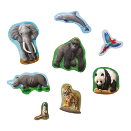 SES 01132 GIETEN EN SCHILDEREN DIEREN