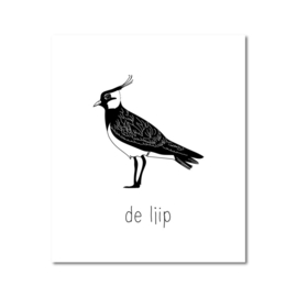 Interieur bord – de Ljip