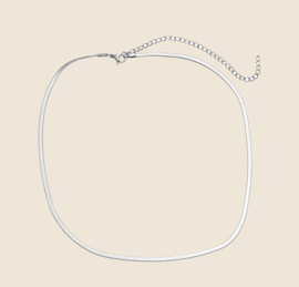 Snake skin necklace  -Zilver