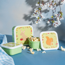 Sass & Belle Snack Box -Garden Friends- (Set van 3 )