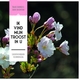 Ik vind mijn troost in U