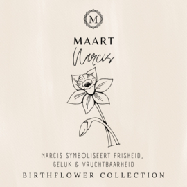 Birthflower necklace zilver - Maart