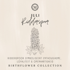 Birthflower necklace zilver - Juli