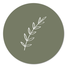 Muurcirkel – Plant donkergroen – 20 cm