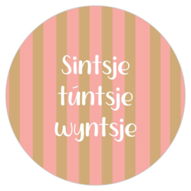 Buiten Muurcirkel Sintsje, túntsje, wyntsje – 30 cm