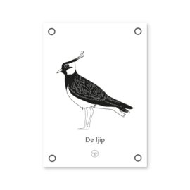 Friese Mini Tuinposter – De Ljip