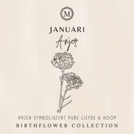 Birthflower necklace zilver - Januari