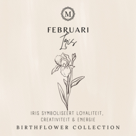 Birthflower necklace Goud - Februari