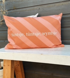 Buitenkussen ‘ Sintsje  , túntsje, wyntsje 60 x 40 cm