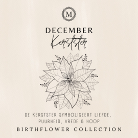 Birthflower necklace Goud - December