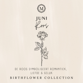 Birthflower necklace Goud - Juni