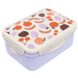 Lunchbox fruits + divider
