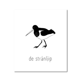 Interieur bord – de Strânljip