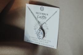 Birthflower necklace zilver - December