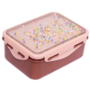 Lunchbox popsicles desert rose
