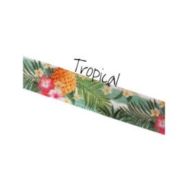 Tropical (breed)