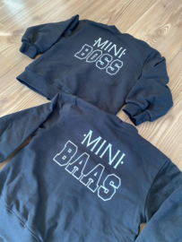 Bomber mini baas of mini boss