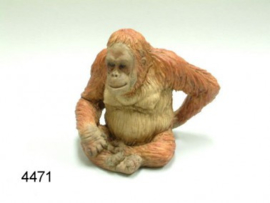 AAP PS/ORANG/9CM (4471)