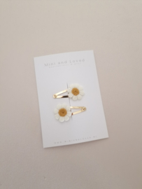 Madelief clip klein (2 stuks)