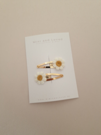 Madelief clip middel (2 stuks)