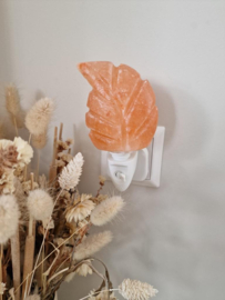 Nachtlampje Himalaya zout - Oranje blad