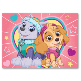 Paw Patrol puzzel 50 stuks