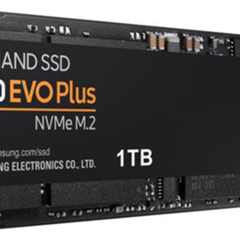 Samsung 970 EVO Plus M.2 - SSD - 1TB