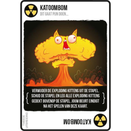 Exploding Kittens Streaking Kittens Uitbreiding - Nederlandstalig Kaartspel