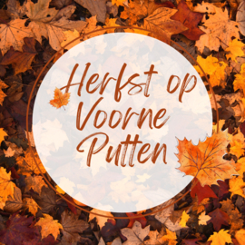 Herfst op Voorne Putten