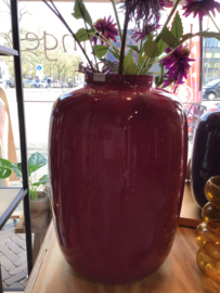 Vase the world vaas Artic 25x35