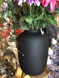 Vase the world vaas Artic 25x35