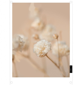 Label-R tuinposter gedroogd gipskruid bloem polaroid 60x80cm.