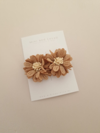Brown Big Blossom groot (3 stuks)