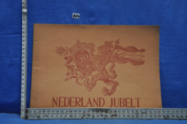 art nr: 874 vintage boek over Koningin Wilhelmina, Nederland Jubelt