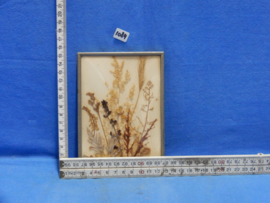 art nr: 1084 antieke zilveren fotolijst met bol glas