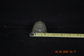 art nr: 1588 vintage schildpad beeldje