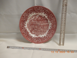 art nr: 487 antieke Royal Tudor Ware bord