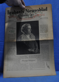 art nr: 875 vintage krantenartikel over Koningin Wilhelmina