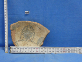 art nr: 1346 vintage Fossil van een schelp