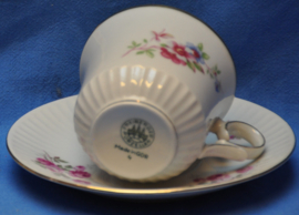 art nr: 193 vintage Freidenger porseleinen kop en schotels