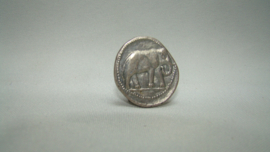 art nr: 60 Grieks Romeinse replica munt