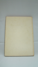 art nr: 103 vintage meisjes boek Rozenmarijntje