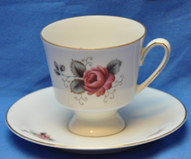 art nr: 196 vintage Bavaria kop en schotel