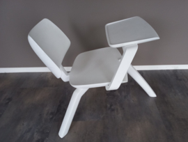 art nr: 104 Whoppa cleanroom chair